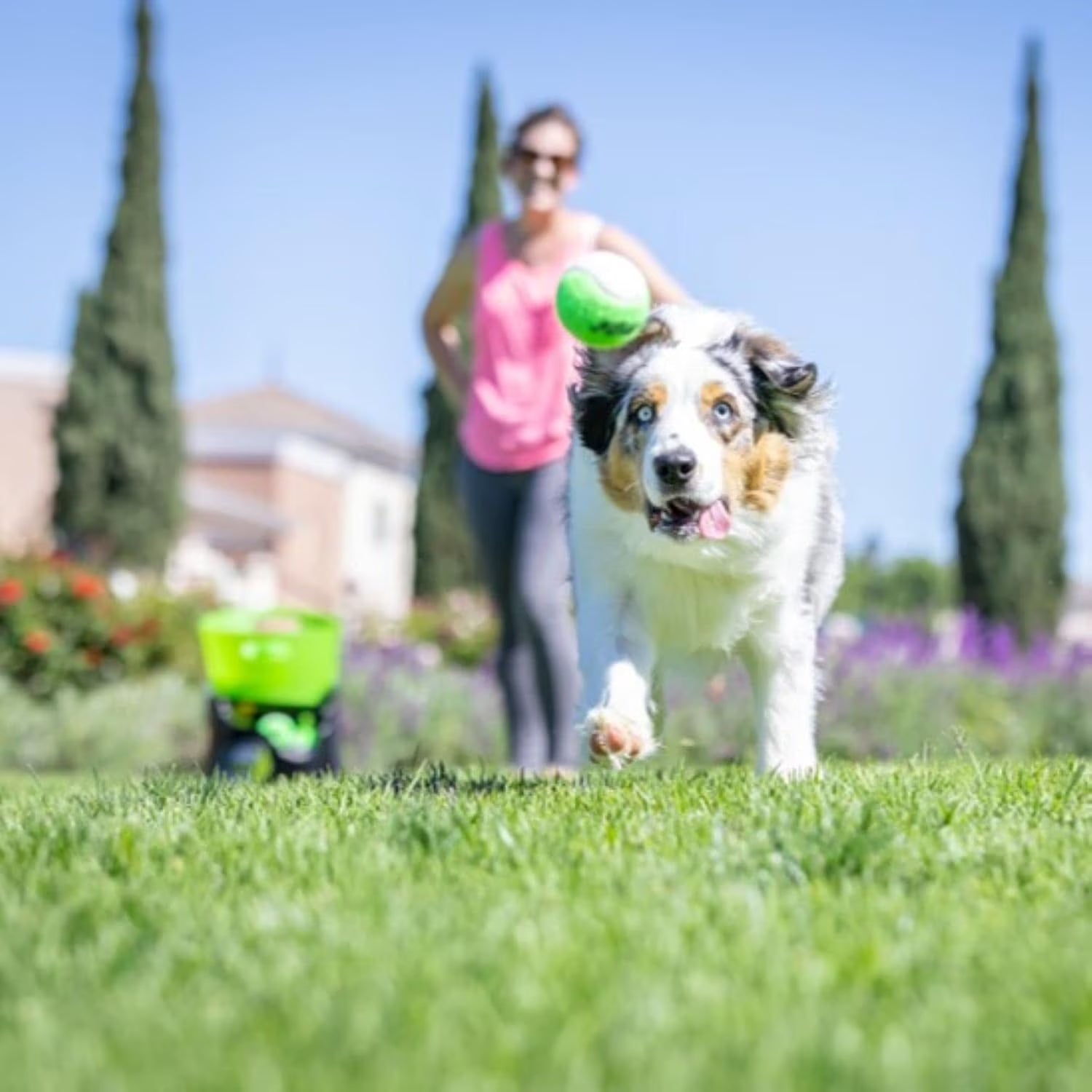 Godoggo Fetch Machine Dog Ball Launcher & Automatic Ball Launcher for Dogs with 5 Medium 2.5" Balls for Dogs 20-60 Lb